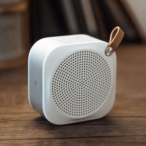 The Speaker